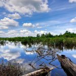 Bera-Lake-Pahang-Malaysia-001-nf02ezlvrj9cquli8b19kku3z9twig599vwof7halq