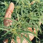 Subhanallah, Cantiknya Pemandangan Gunung Salji Di Pakistan! Trip 10 Hari Ni Korang Mesti Cuba! (21)