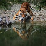 cce09373097107a9211aa668147d004d