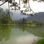 Wohin_auswandern_malaysia_Taiping_Lake_Gardens_4