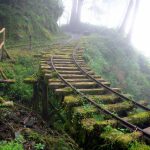 65bd8052001233694cb5537a8a6e6ea1