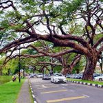 WhatsApp-Image-2019-03-08-at-1.19.44-PM