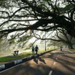 19399087_10155485790673417_7820721768039652286_n