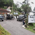 AD98F78E-77E6-446A-9299-9E2C76C9A627