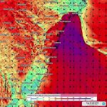 20863226-7672789-image-a-12_1573481881760