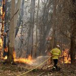 20891420-7674979-image-a-102_1573530750085