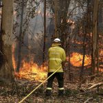 20891424-7674979-image-a-100_1573530739113