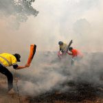 20891430-7674979-image-a-106_1573531196066