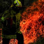 20877108-7672789-image-a-14_1573501551084