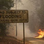 20891418-7674979-image-a-104_1573530825748