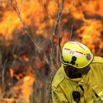 20887950-7674979-image-m-61_1573521077660