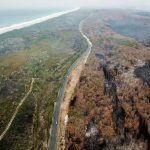 20877550-7672789-image-m-21_1573501951069