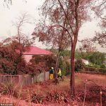 20899606-7675567-image-a-6_1573550305728