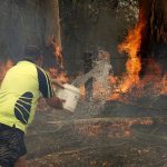 20893926-0-image-a-4_1573536862152