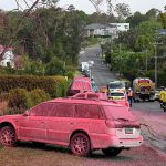 20896798-7675567-image-a-4_1573550000405