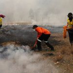 20893928-0-image-a-5_1573536875653