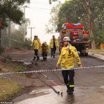 20898430-7675567-image-a-8_1573547487658