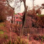 20899664-7675567-image-a-15_1573550916611