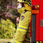 20899628-7675567-image-a-9_1573550421682