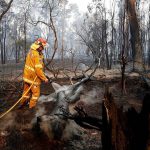 20835862-7674979-Destruction_A_firefighter_works_to_contain_a_bushfire_near_Taree-a-34_1573525190645