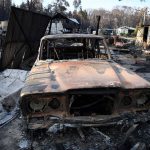 20835860-7670499-image-a-26_1573418089512