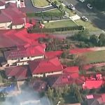 20894522-7675567-image-a-10_1573538791722