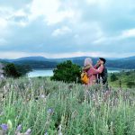 Lavender Farm, Dalat