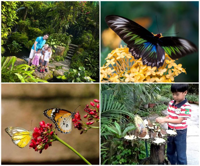 Nama Je Duduk KL, Taman Rama-Rama Kuala Lumpur Mesti Ramai Belum Pernah Singgah Kan?