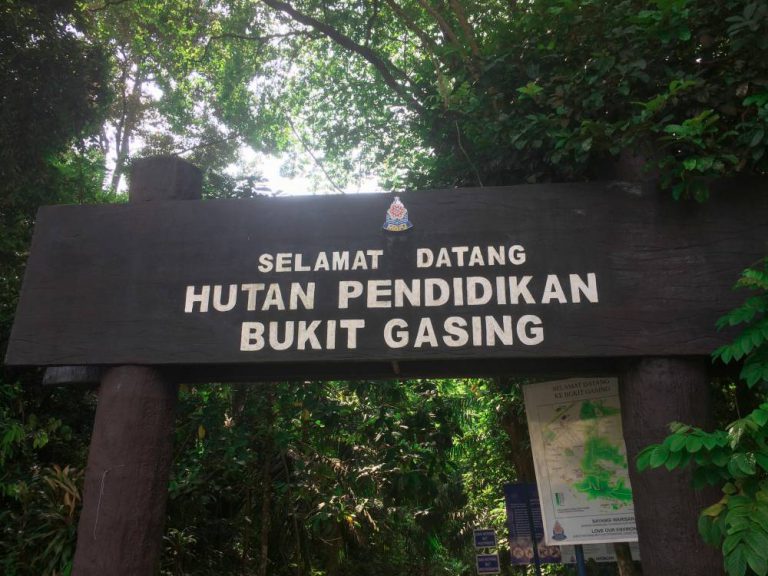 Bukit Gasing Lokasi ‘Femes’ Mendaki Untuk Orang Bandar