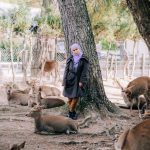 IMG_20191130_190826_154_resized_20191211_034723075