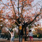 IMG_20191123_202718_796_resized_20191211_034724508