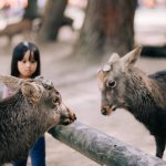 IMG_20191130_190700_447