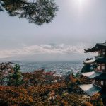 IMG_20191208_082513_692_resized_20191211_034724000