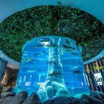 78304534_2591608040946858_874633732932239360_n