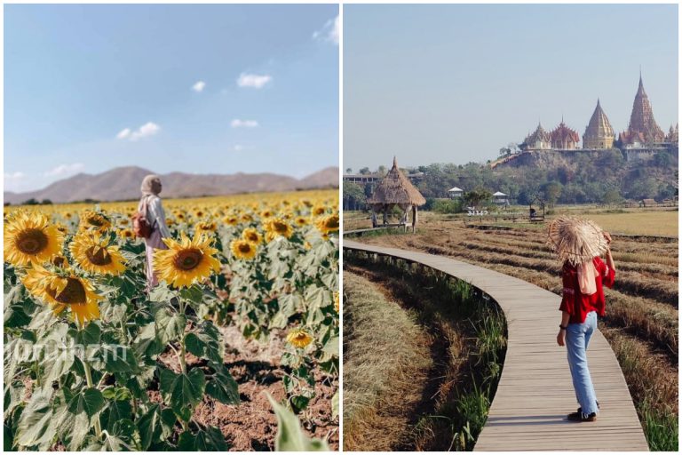 Lihat Ladang Bunga Matahari, ‘Trend’ Trip Impian Ramai Ketika Bercuti Ke Thailand. Ni Itinerari Best