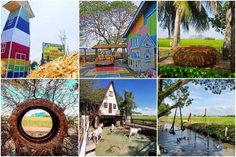 Bukan Sekadar Ladang Madu Kelulut. Lokasi Ini Jadi Tarikan ‘Orang Loqstaq’ Bergambar