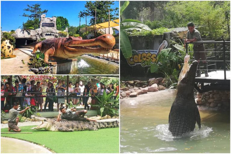 Jurassic Croc Tarikan Terbaru Di Taman Buaya Langkawi