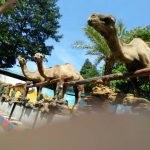 14364846_10153786430521003_3252958083457901737_n