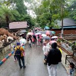 79961786_10156652266306003_210842452821540864_o