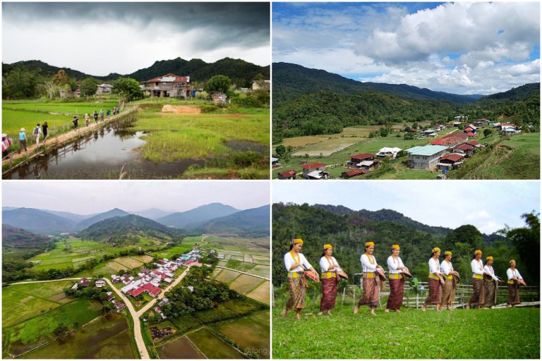 Bario & Ba’Kelalan, Dua Destinasi Tanah Tinggi Mesti Singgah Di Sarawak