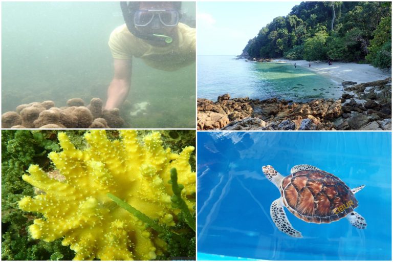 Port Dickson Punya ‘Port’ Snorkel, Intai Terumbu Karang Cantik