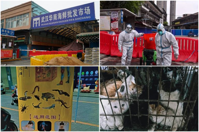 Kalau Benarlah Pasar Haiwan Eksotik Wuhan Kembali Beroperasi.. Memang Mereka ‘Selfish’!