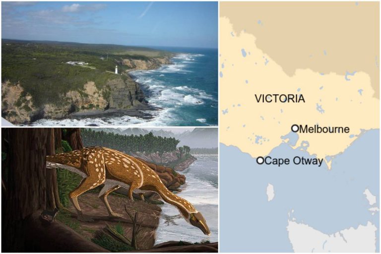 Australia Jumpa Fosil ‘Rare’ Spesies Dinosaur Hidup Tanpa Gigi Di Cape Otway