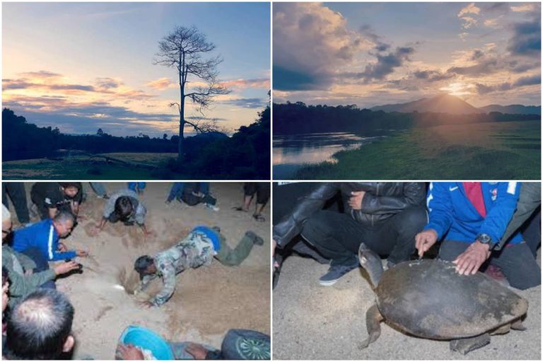 Peluang Lihat ‘Si Tuntung’ Di Kampung Temir, Hulu Terengganu