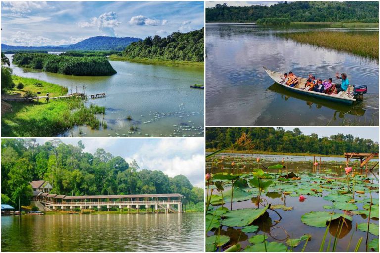Tasik Lagenda Naga, Tasik Chini Pahang Bakal ‘Berwajah Baru’