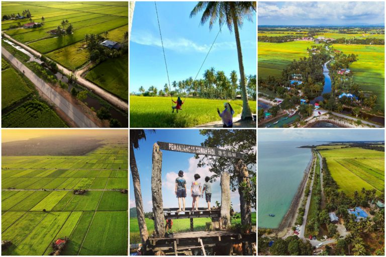 Cuti-Cuti Malaysia: Jom Jenguk 3 Kawasan Sawah Padi. Serius Cantik Menyegarkan