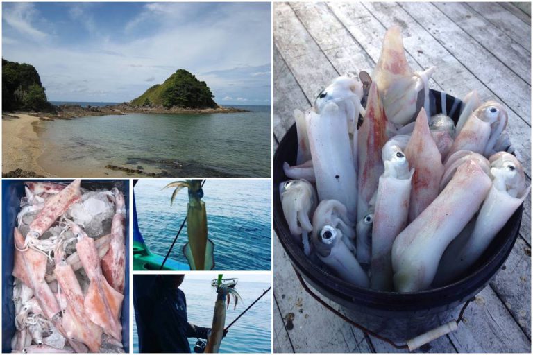 8 Port Candat Sotong Di Terengganu, Ini Waktu Terbaik Kalau Nak Pergi