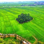 106919153_1565738346937790_6177021466036905110_n