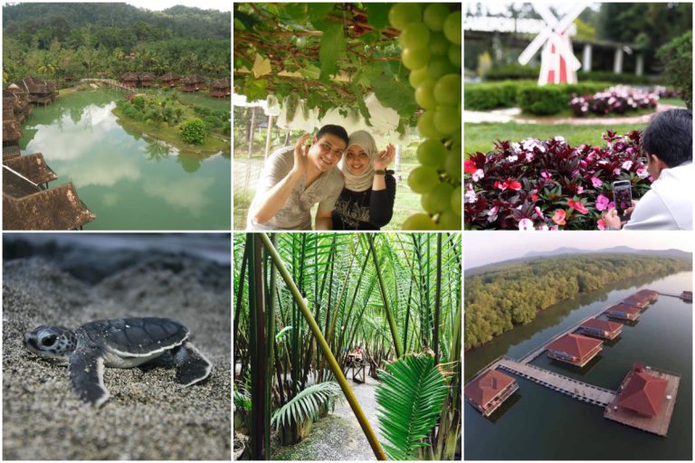 11 Pusat Pelancongan Agro Popular Di Malaysia Sesuai Untuk Keluarga Berlibur