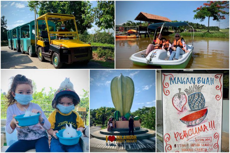 Trip Hujung Minggu Ke Selangor Fruit Valley. Paling Best Dapat Makan Buah Free Je!